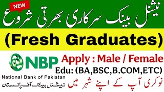 NBP Jobs 2025 – Apply Online for Regional Support Manager Internal Controls