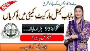 Punjab Cattle Market Management and Development Company (PCMMDC) Jobs 2026